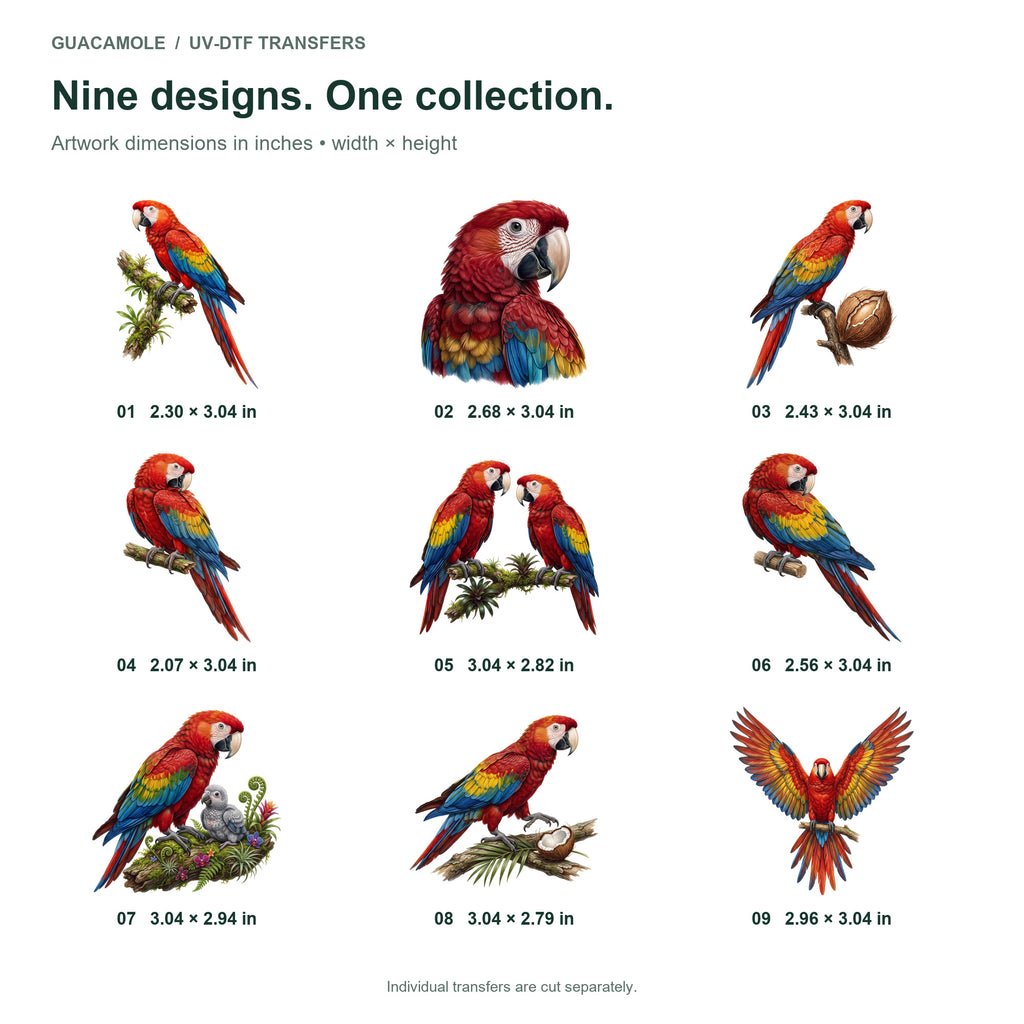 Macaw Rainforest — Nine designs and sizes