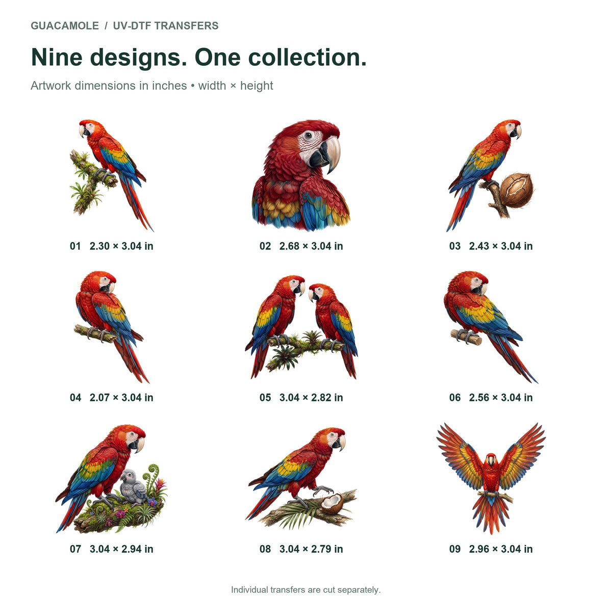 Macaw Rainforest — Nine designs and sizes