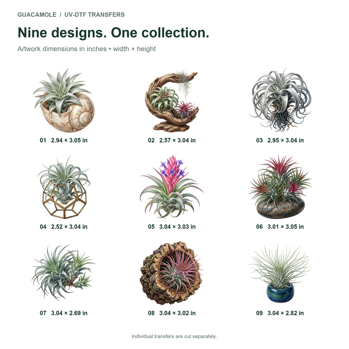Air Plant Sculptures — Nine designs and sizes