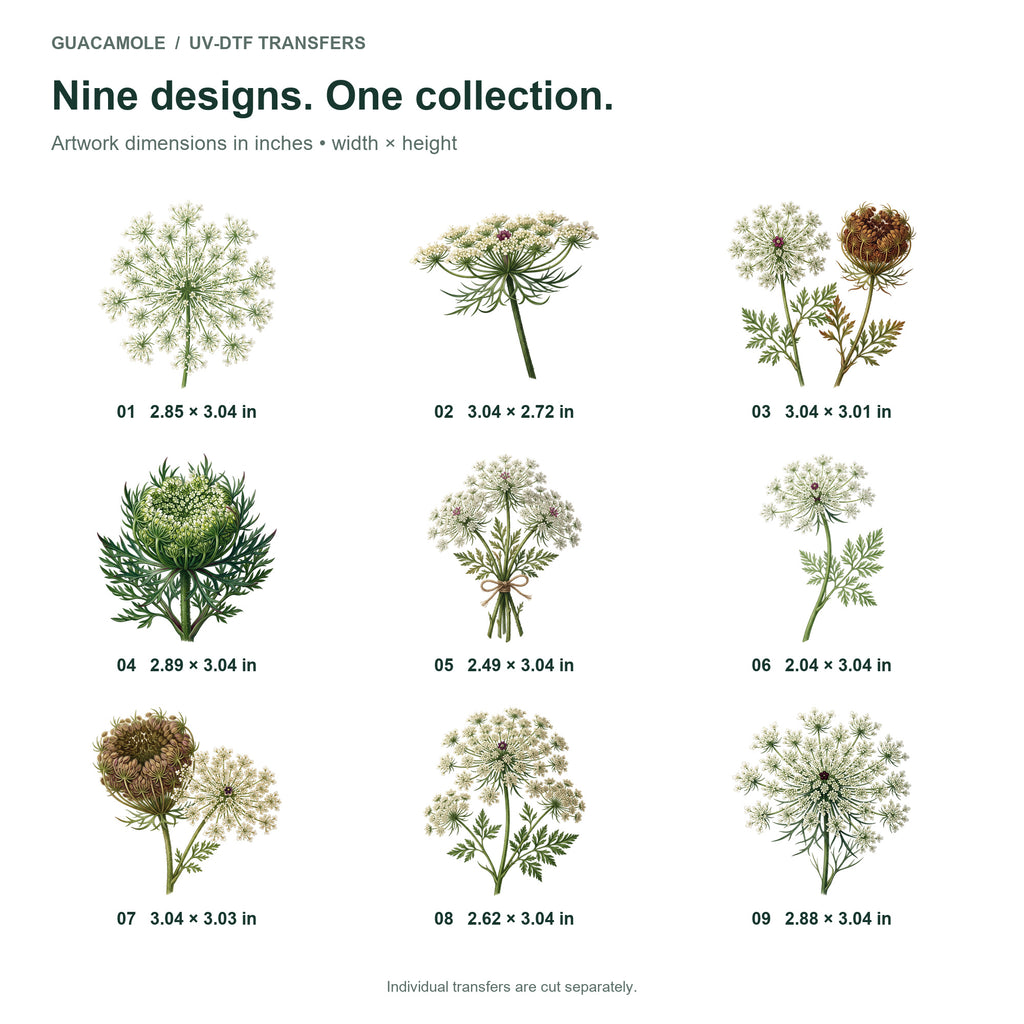 Queen Annes Lace — Nine designs and sizes