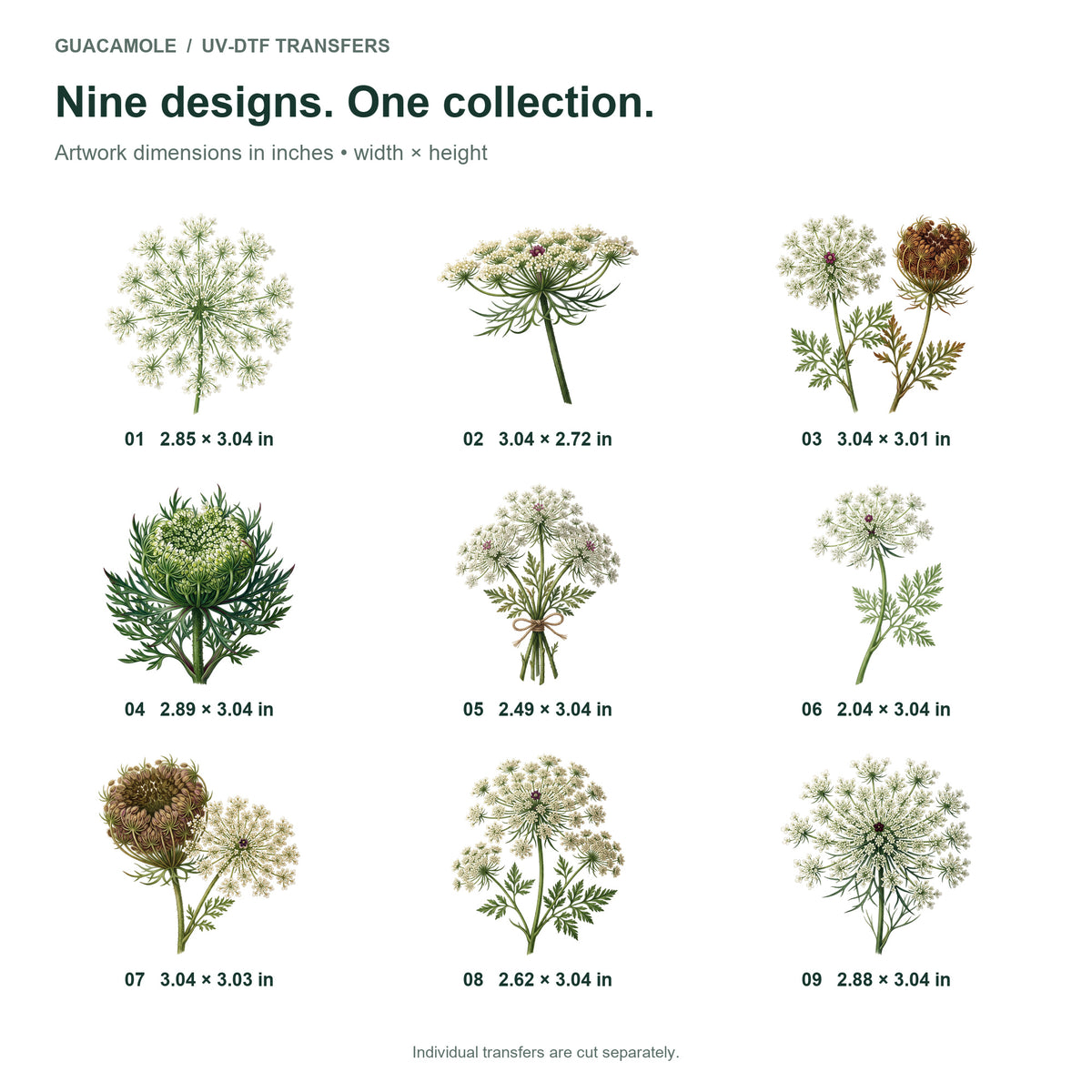 Queen Annes Lace — Nine designs and sizes