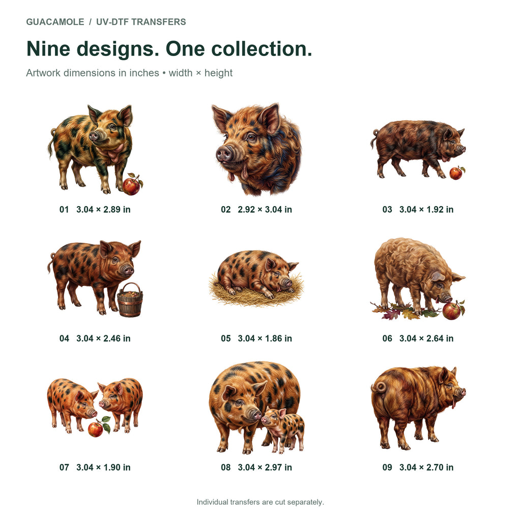 Kunekune Pigs — Nine designs and sizes