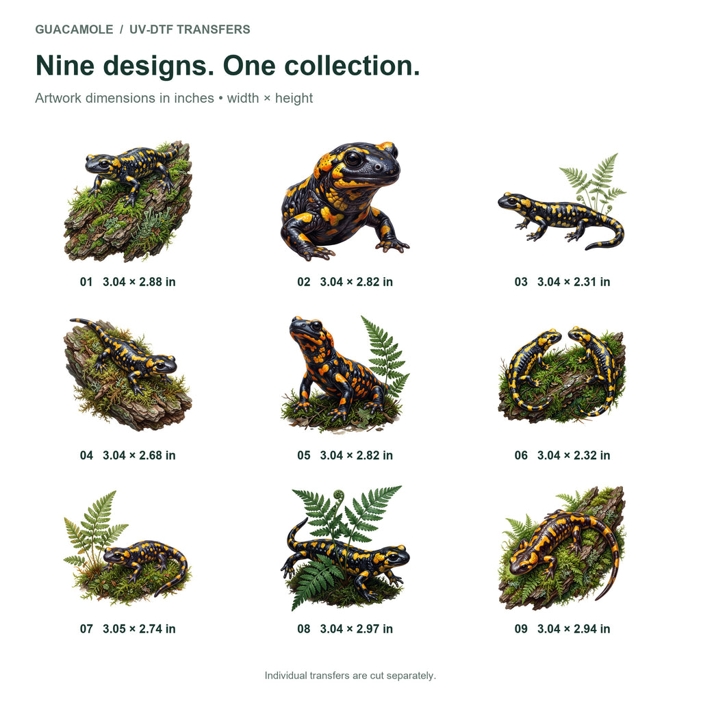 Salamander Forest Rain — Nine designs and sizes