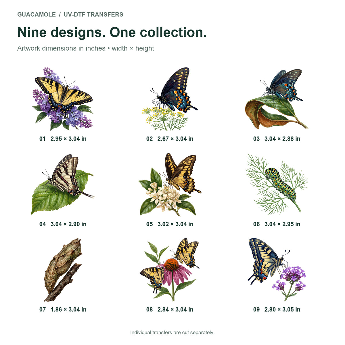Swallowtail Butterflies — Nine designs and sizes