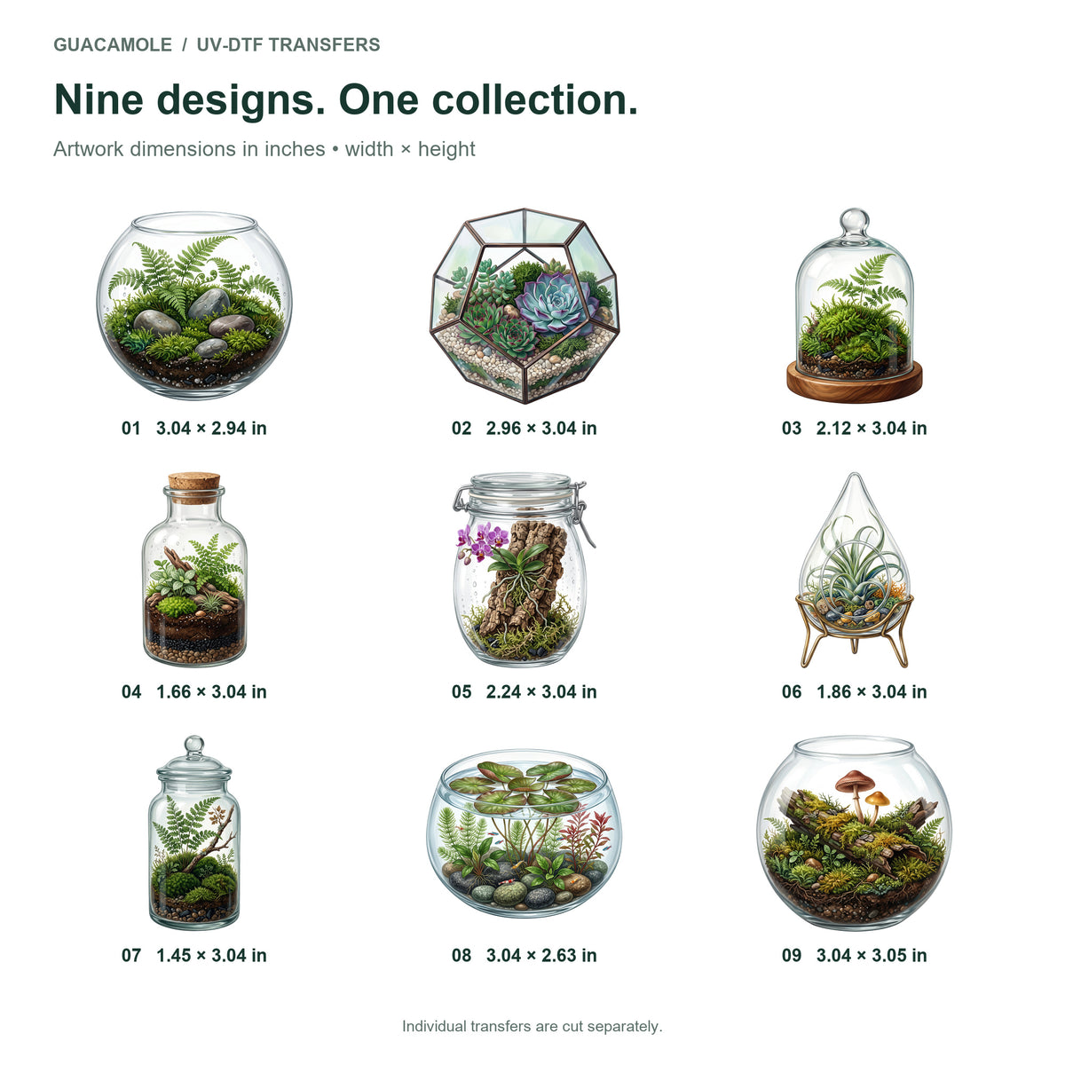 Terrarium Worlds — Nine designs and sizes