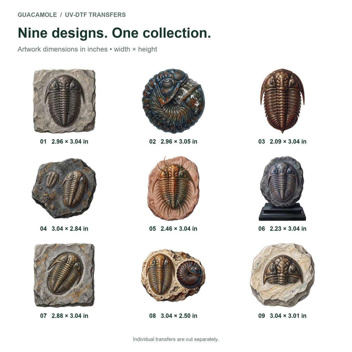 Trilobite Fossil Cabinet — Nine designs and sizes