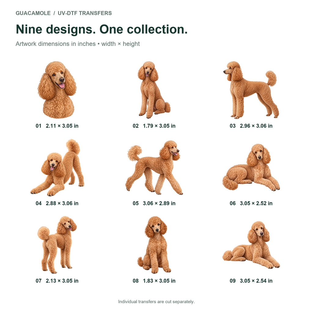 Poodle — Nine designs and sizes