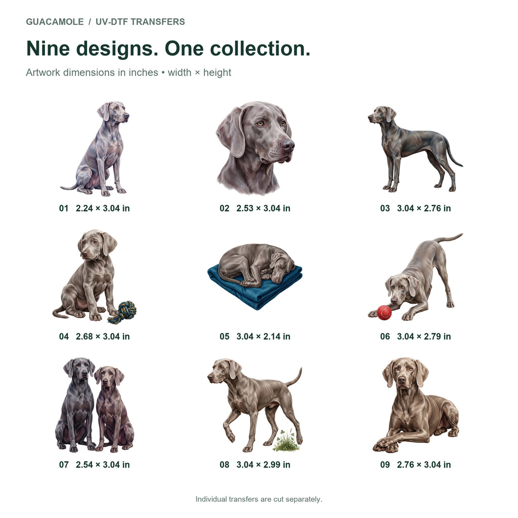 Weimaraners — Nine designs and sizes