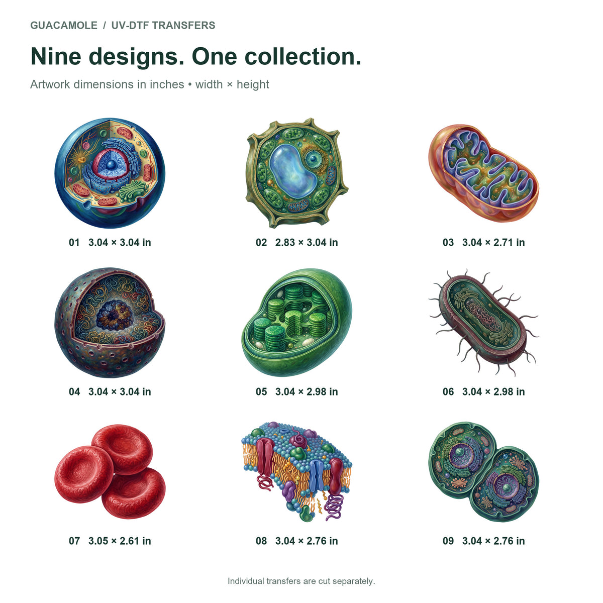 Cellular Micro Worlds — Nine designs and sizes