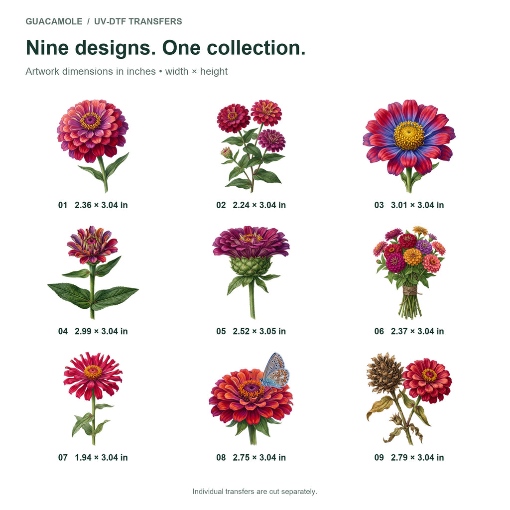 Zinnia Rainbow — Nine designs and sizes