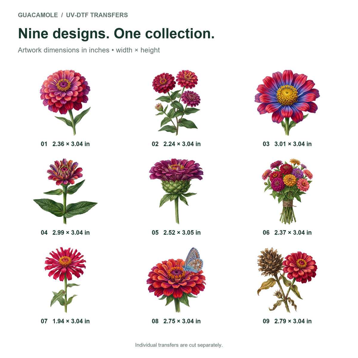 Zinnia Rainbow — Nine designs and sizes