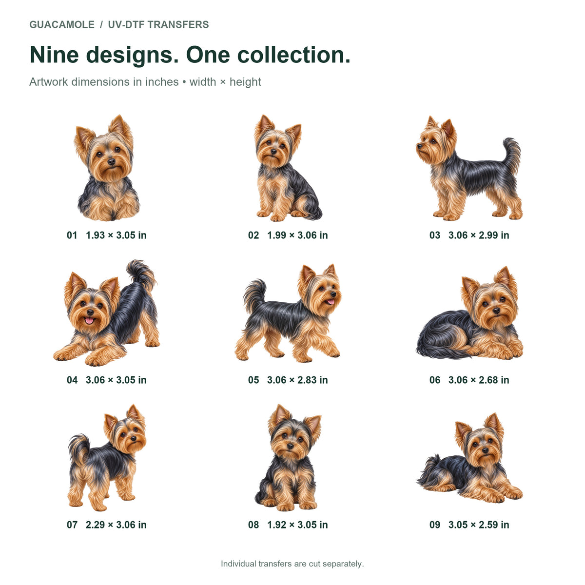 Yorkshire Terrier — Nine designs and sizes