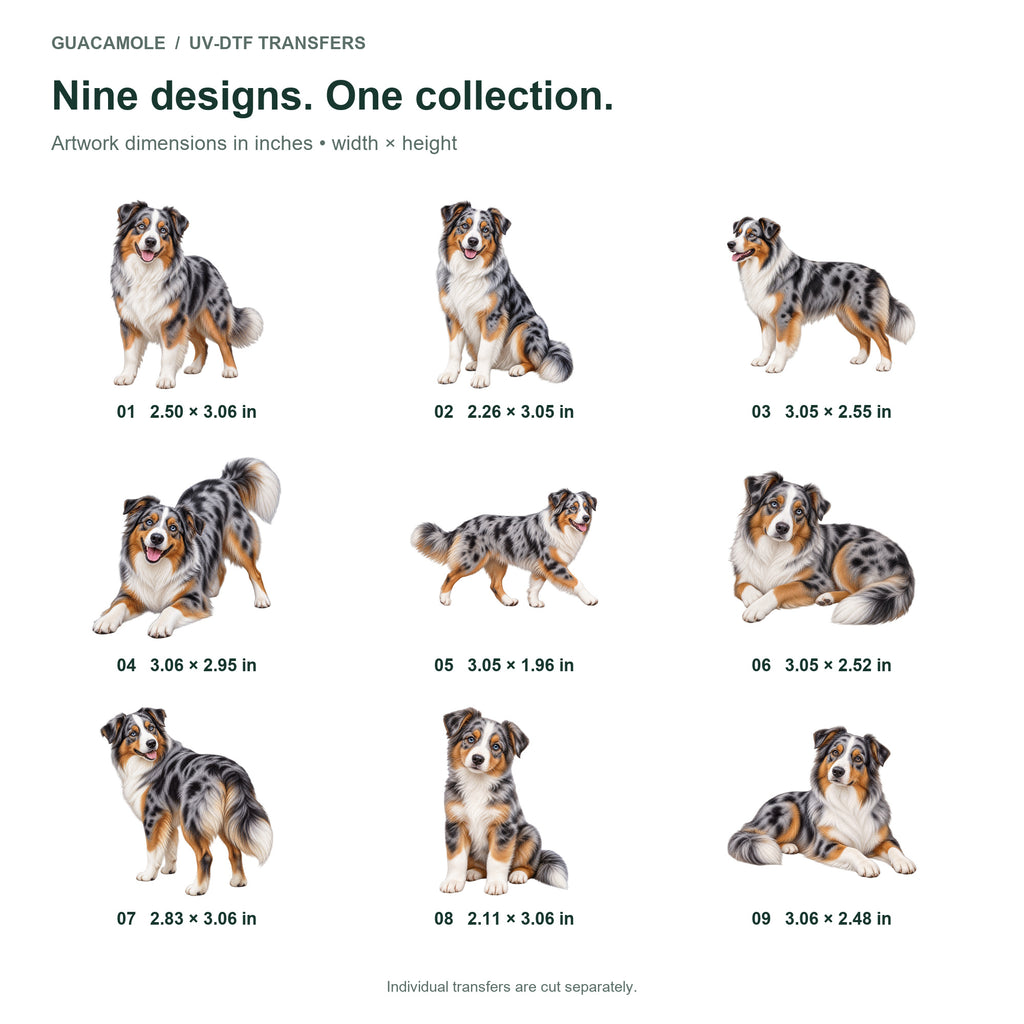 Australian Shepherd — Nine designs and sizes