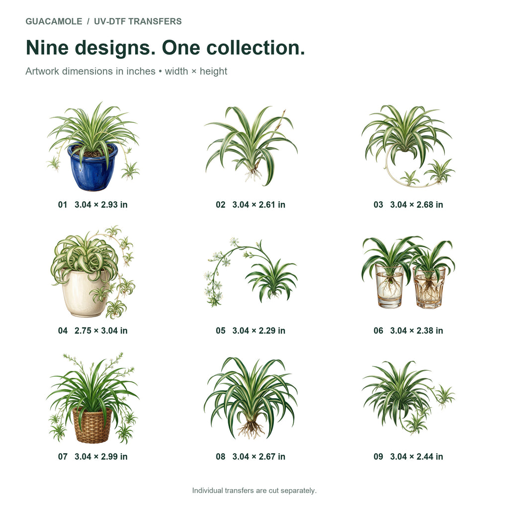 Spider Plants and Babies — Nine designs and sizes