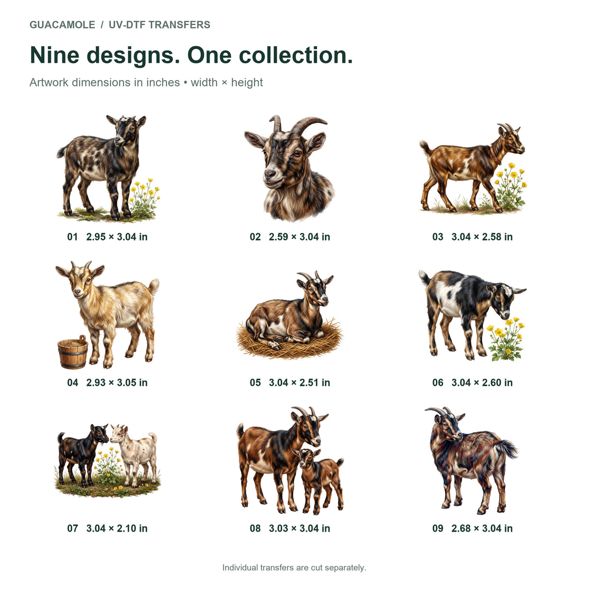 Nigerian Dwarf Goats — Nine designs and sizes