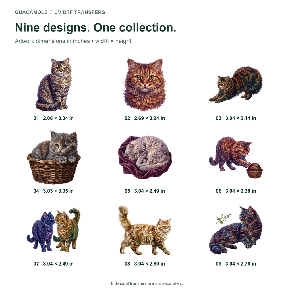 Selkirk Rex Cats — Nine designs and sizes