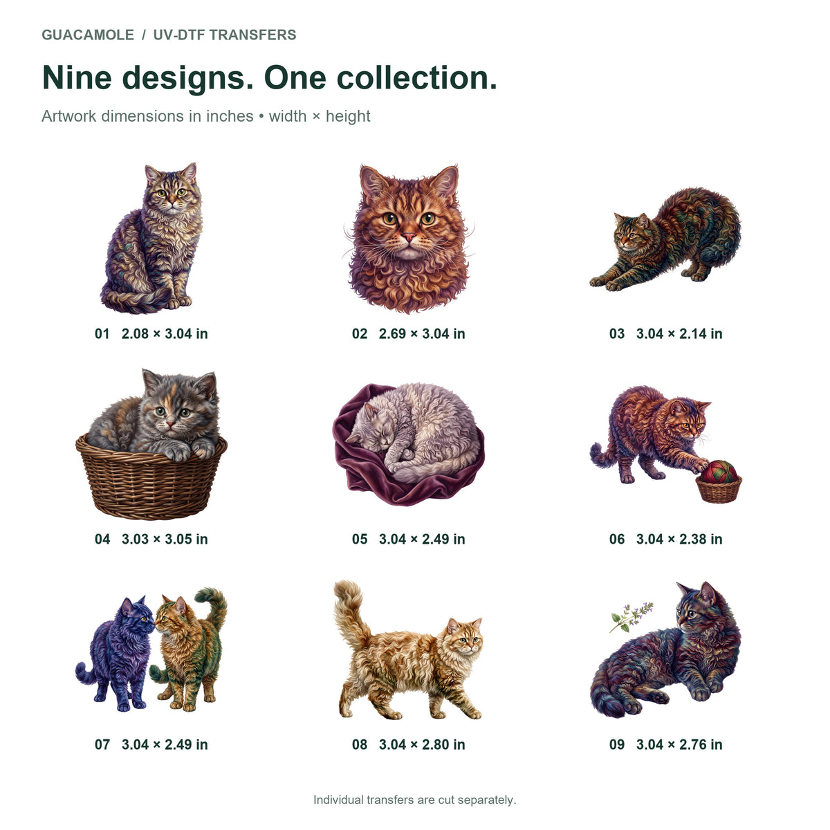 Selkirk Rex Cats — Nine designs and sizes