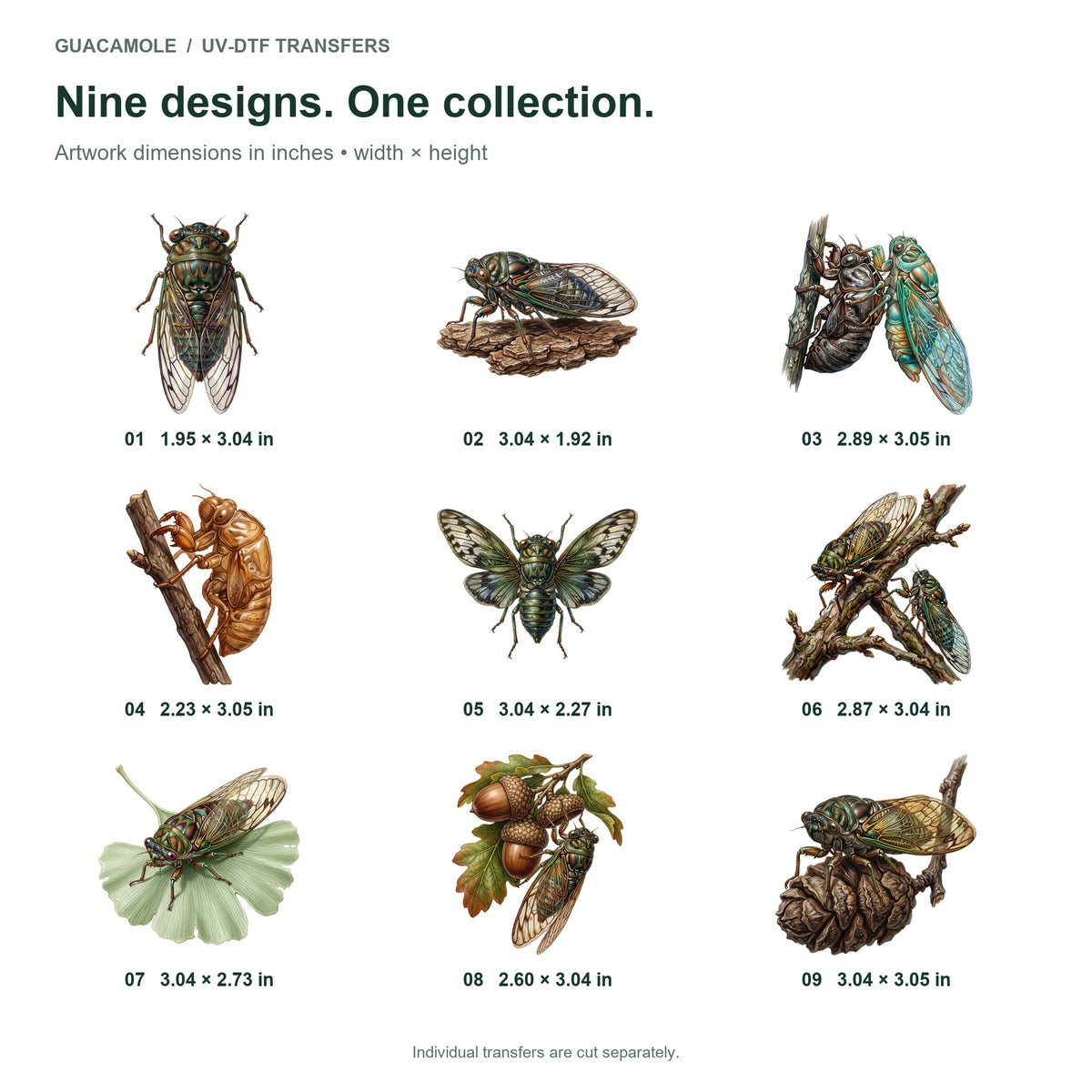 Cicada Summer — Nine designs and sizes