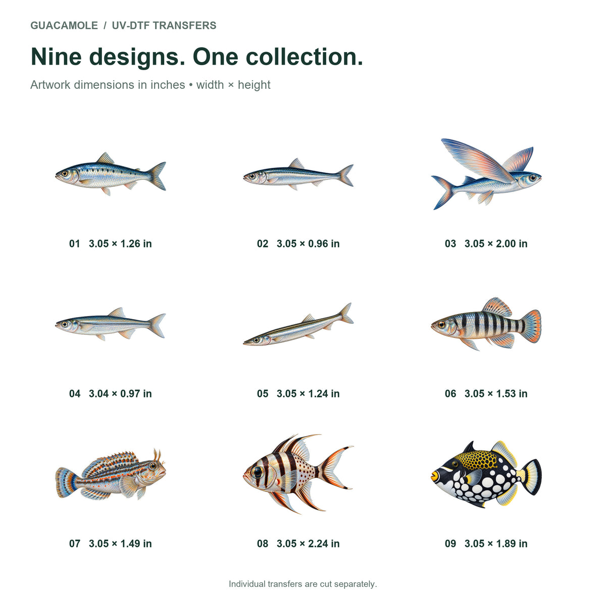 Saltwater Small Species — Nine designs and sizes