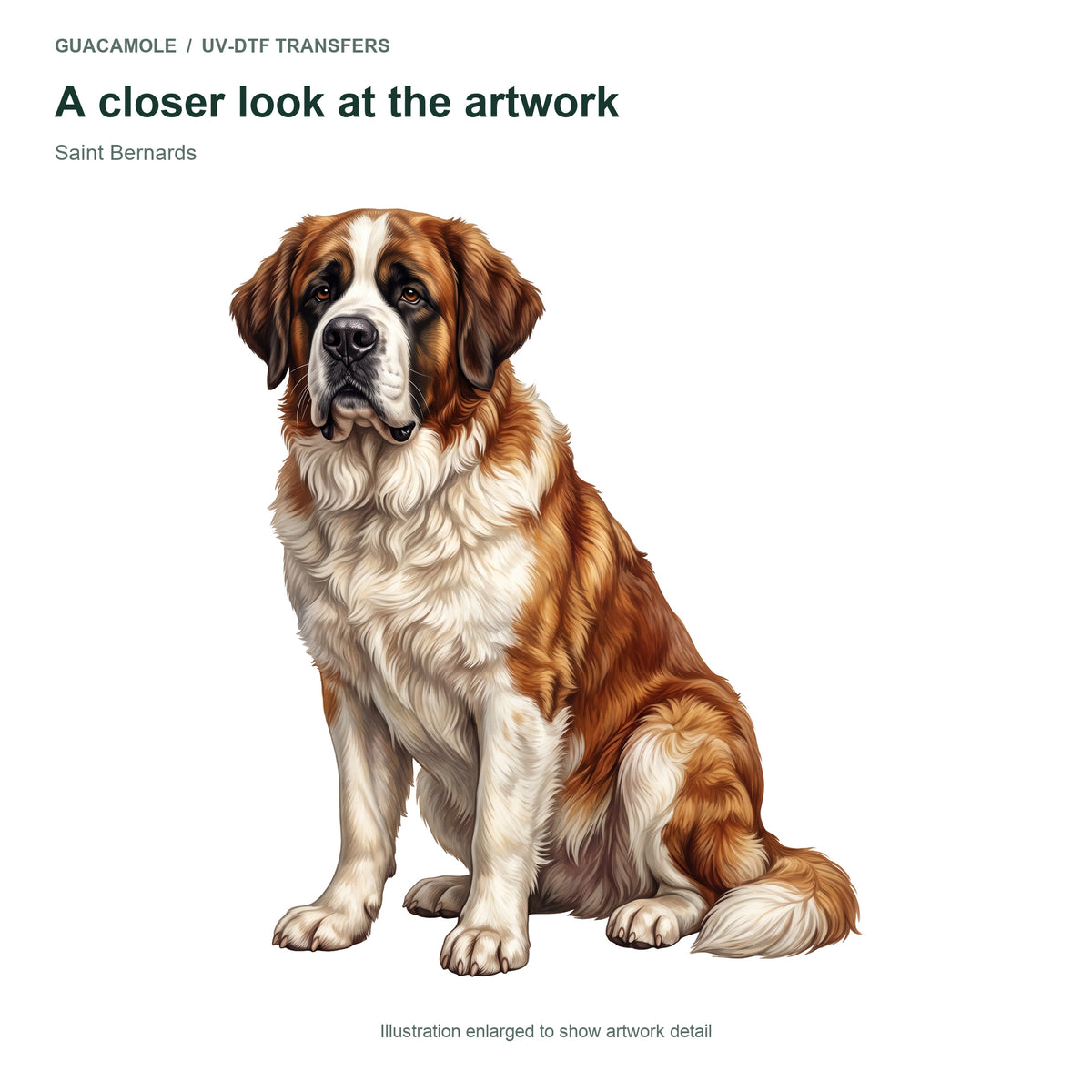 Saint Bernards — Artwork detail