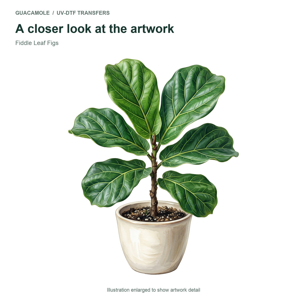 Fiddle Leaf Figs — Artwork detail