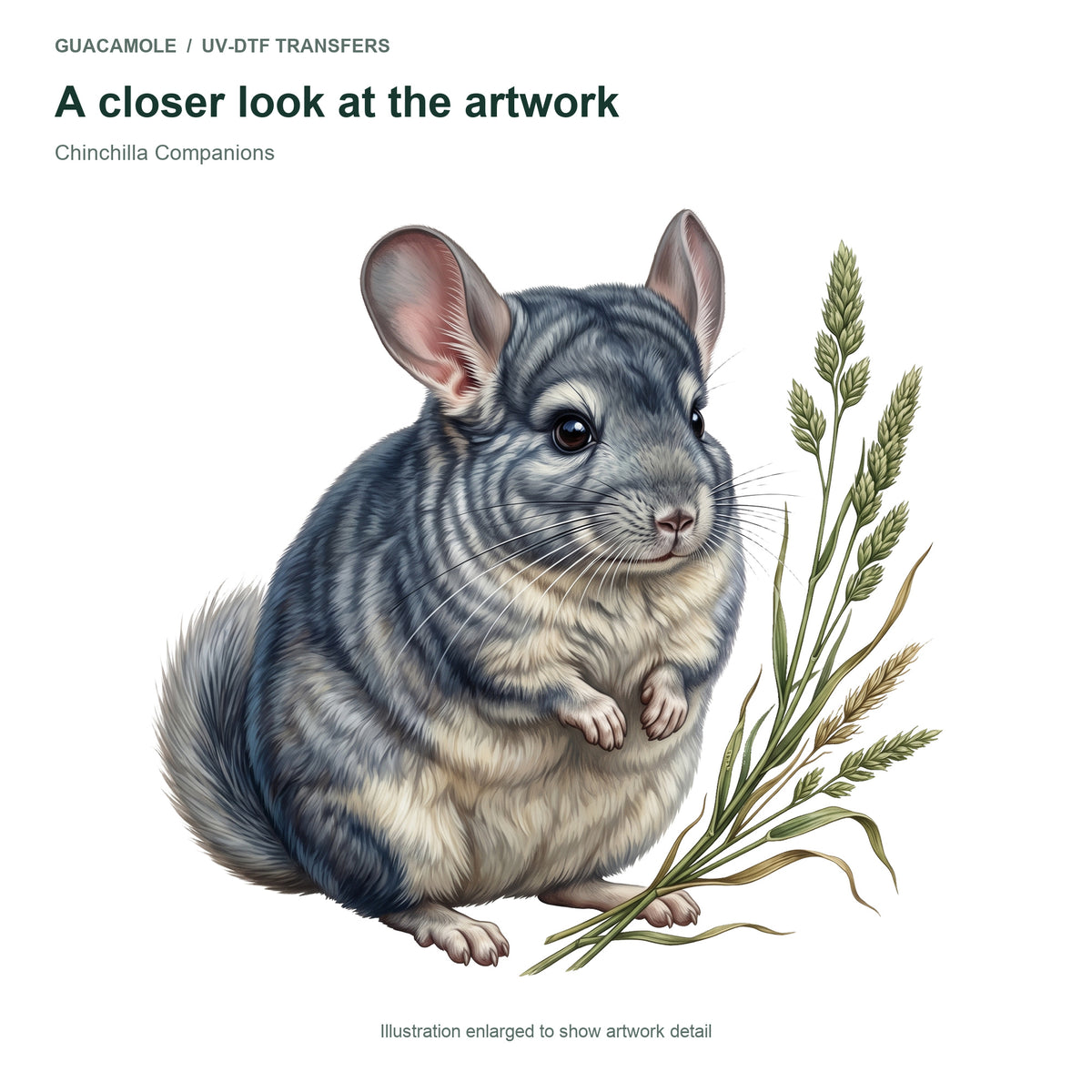 Chinchilla Companions — Artwork detail