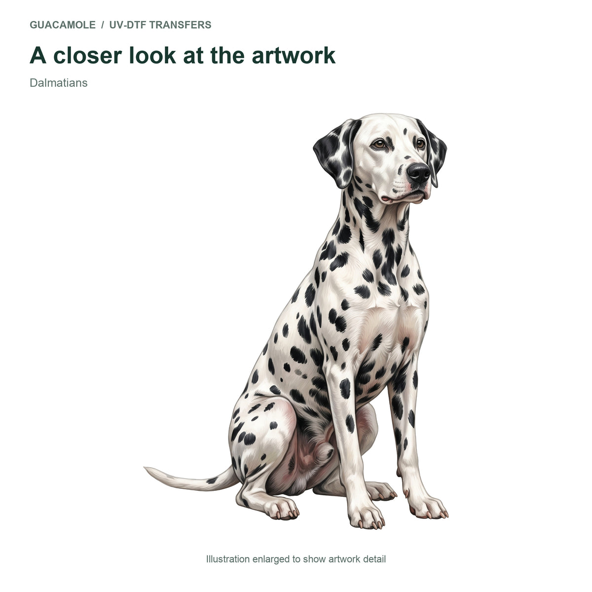 Dalmatians — Artwork detail