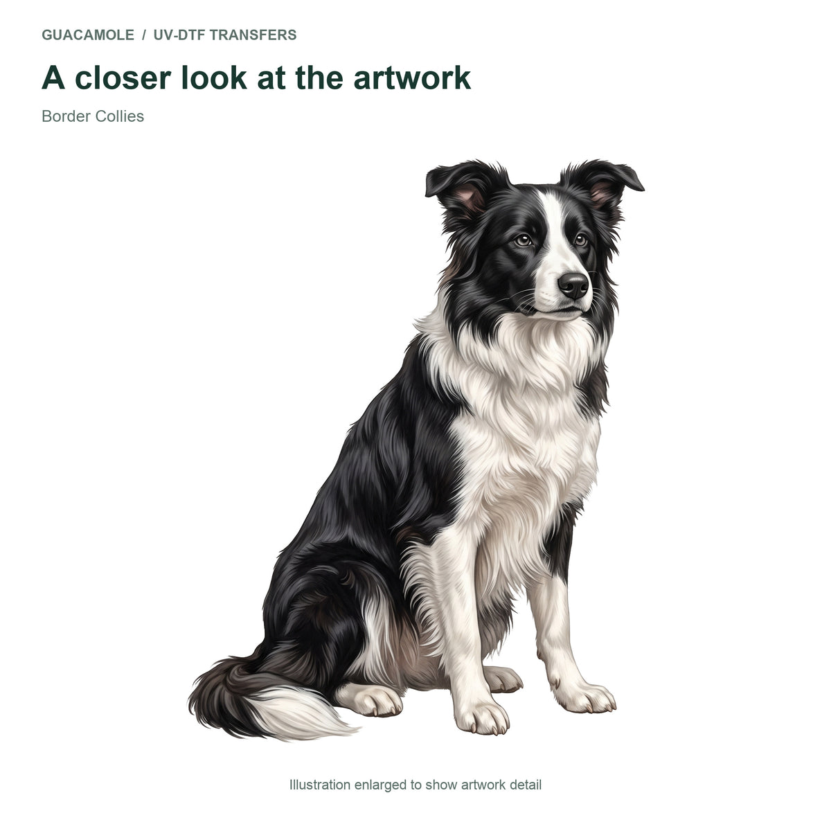 Border Collies — Artwork detail
