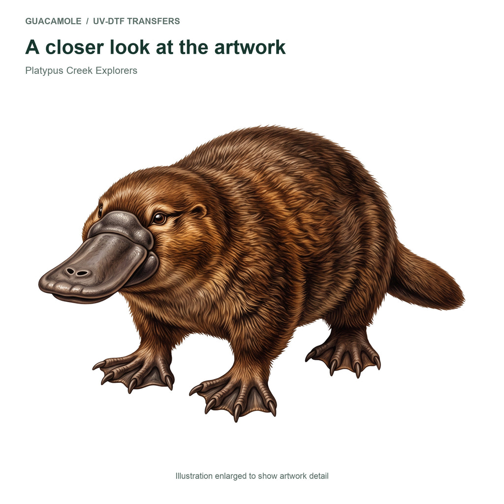 Platypus Creek Explorers — Artwork detail