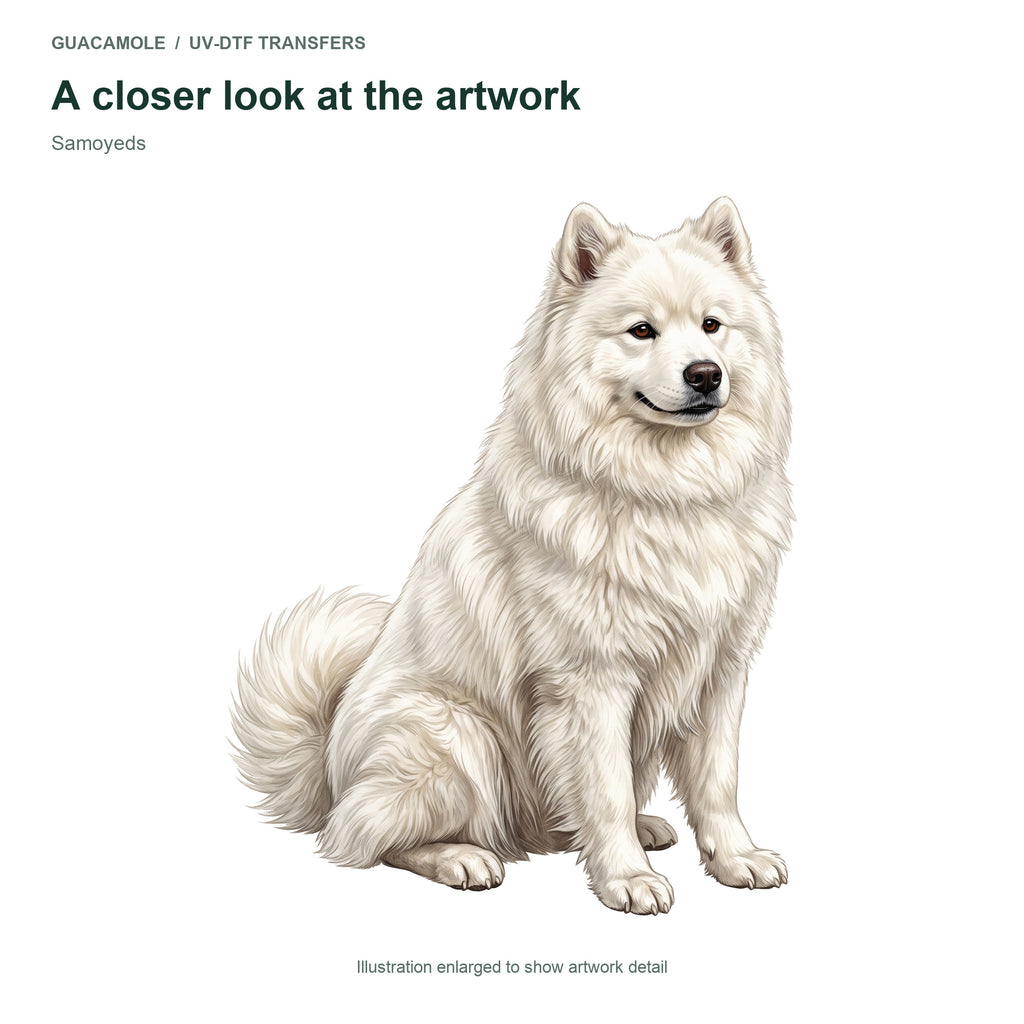 Samoyeds — Artwork detail