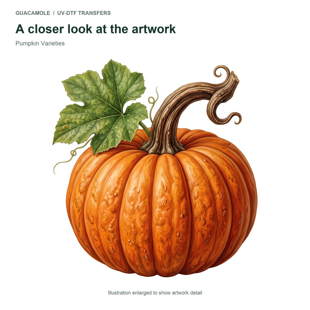 Pumpkin Varieties — Artwork detail