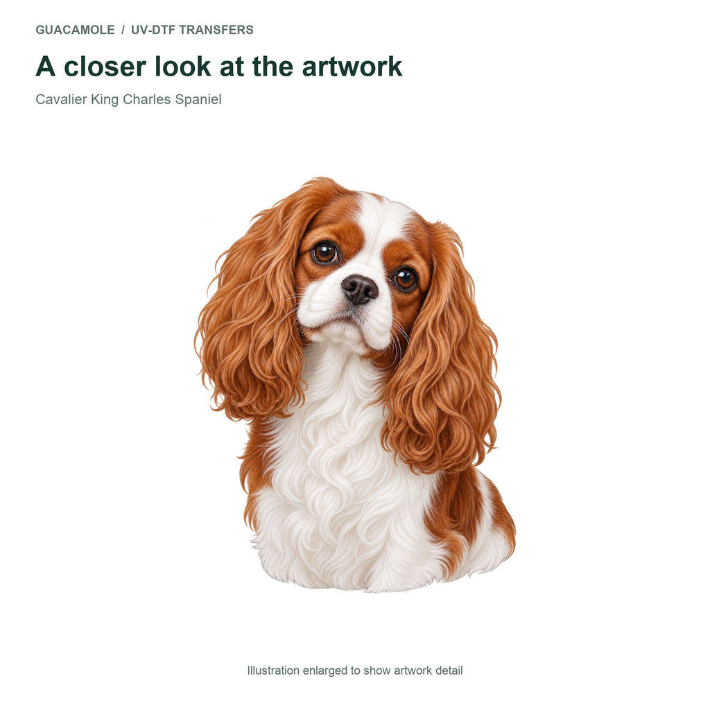 Cavalier King Charles Spaniel — Artwork detail