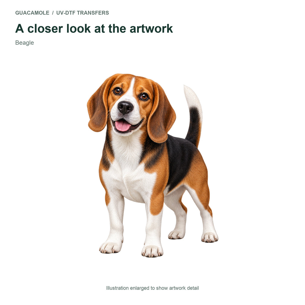 Beagle — Artwork detail