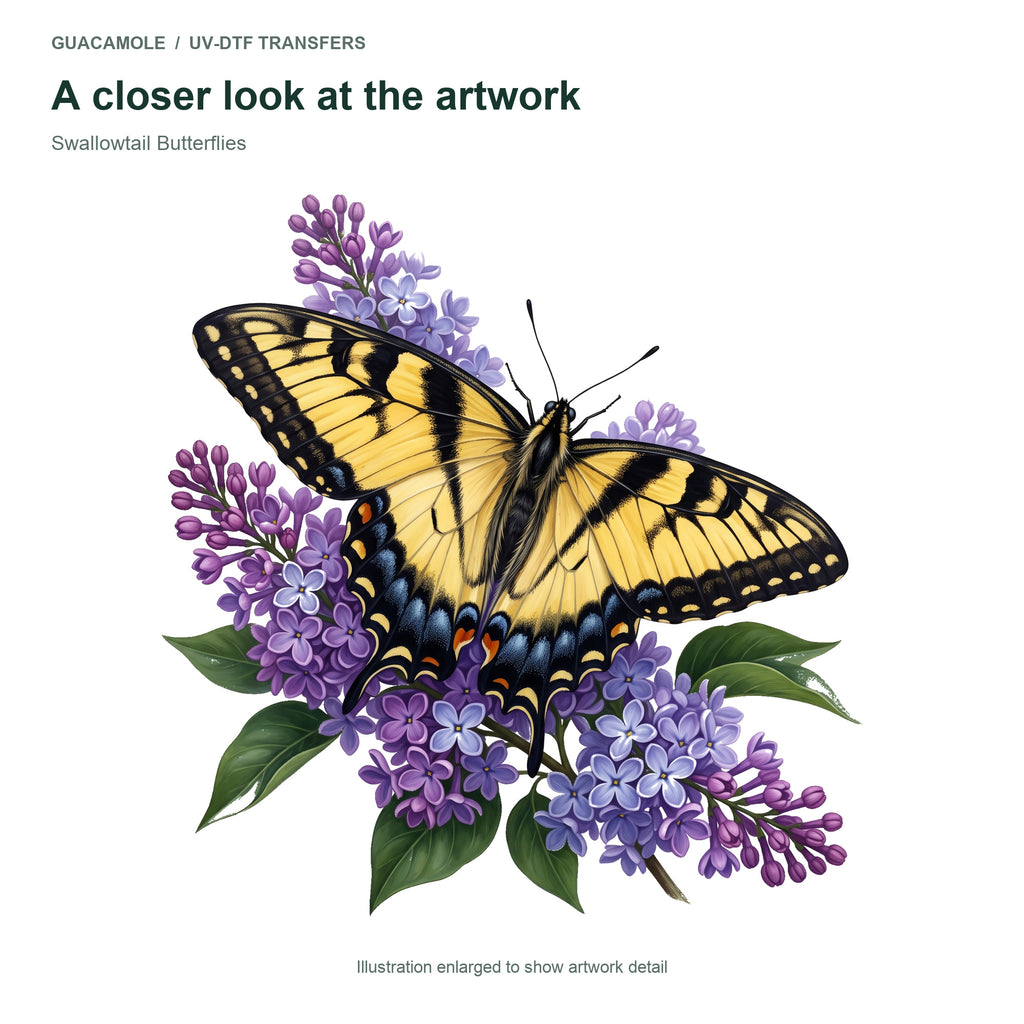 Swallowtail Butterflies — Artwork detail