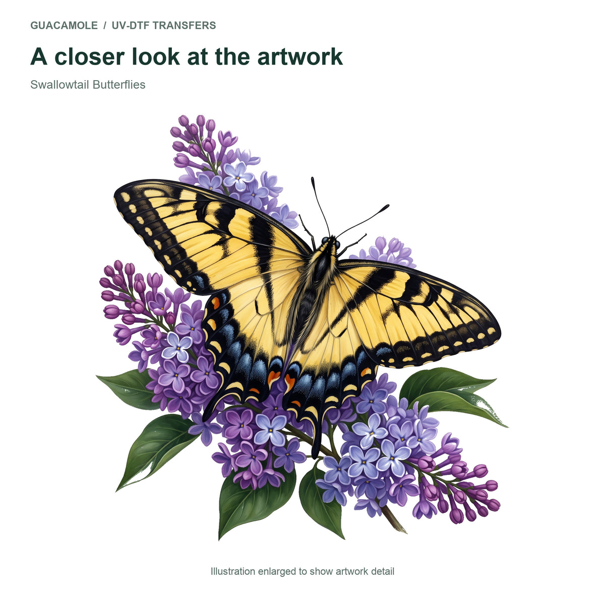 Swallowtail Butterflies — Artwork detail