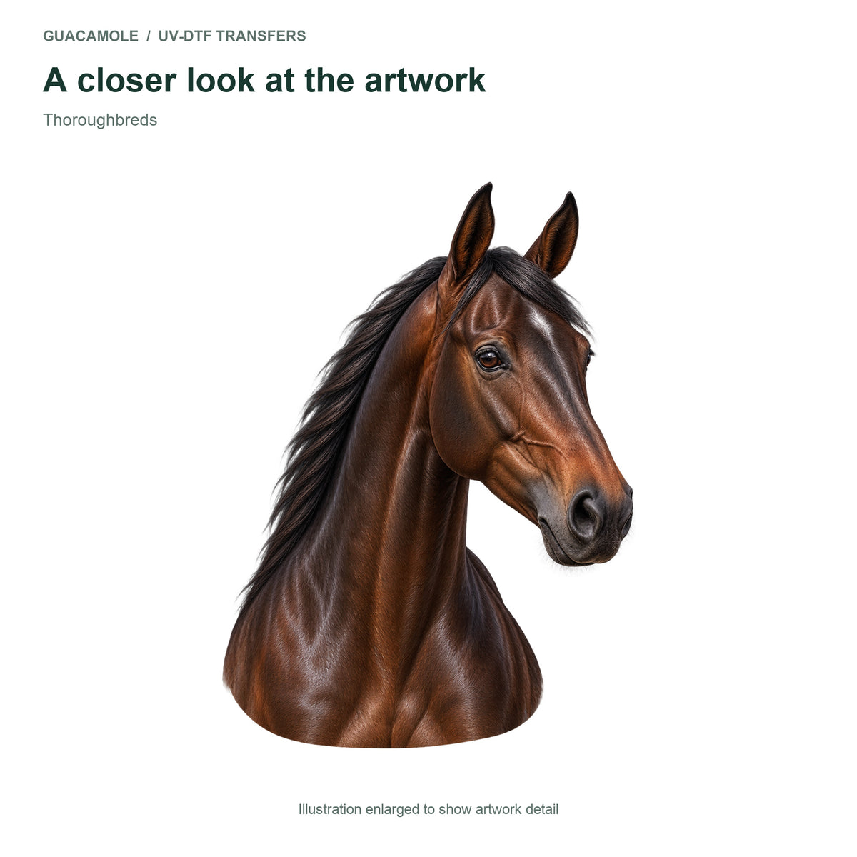 Thoroughbreds — Artwork detail