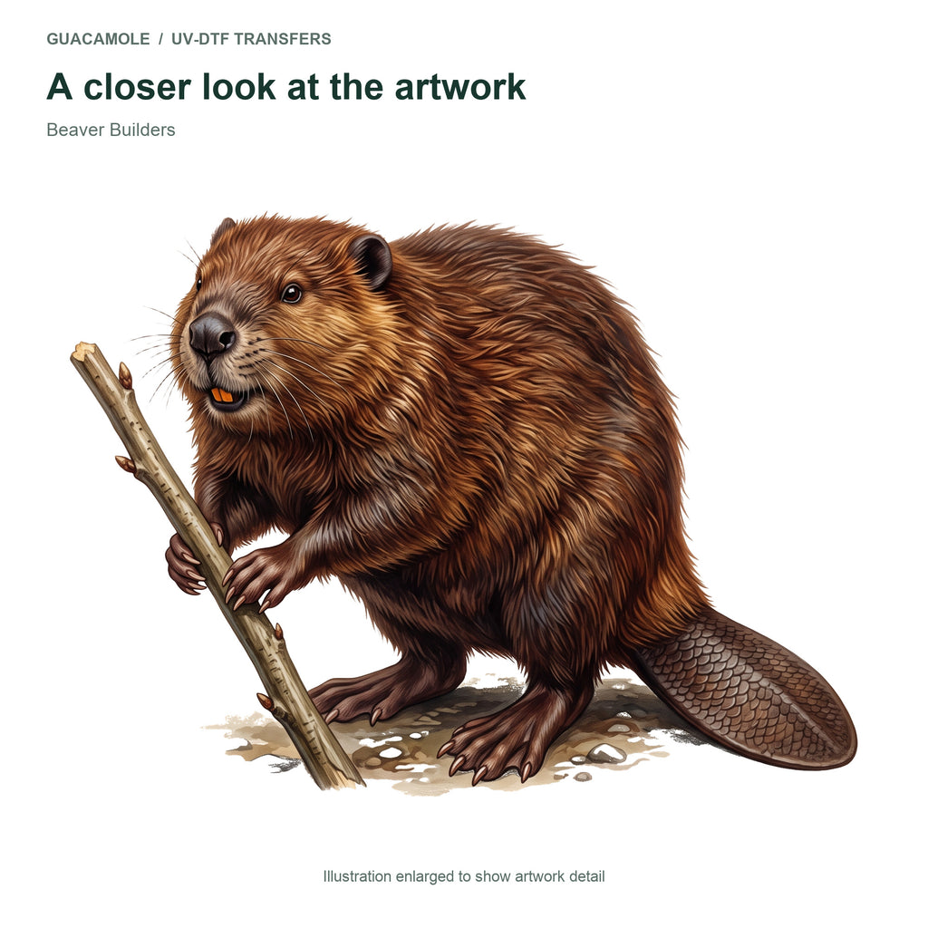Beaver Builders — Artwork detail
