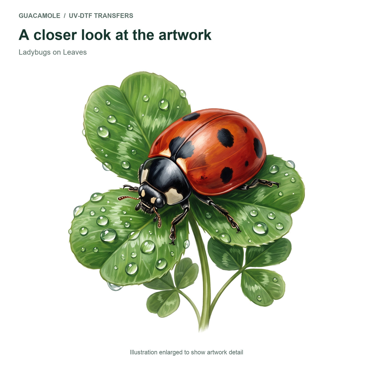 Ladybugs on Leaves — Artwork detail