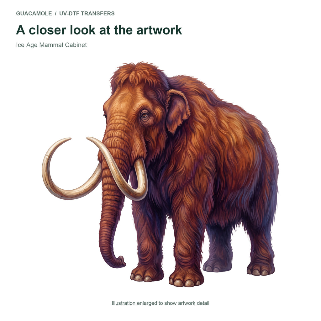 Ice Age Mammal Cabinet — Artwork detail