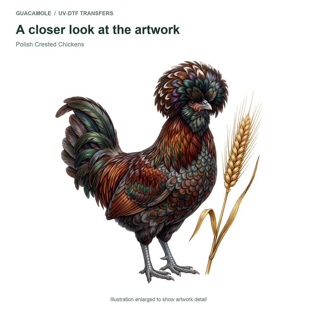 Polish Crested Chickens — Artwork detail