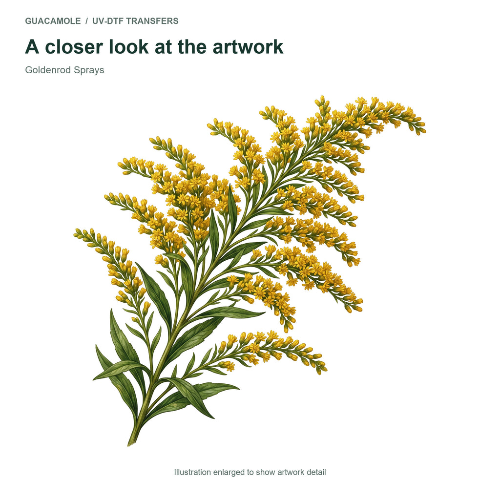 Goldenrod Sprays — Artwork detail