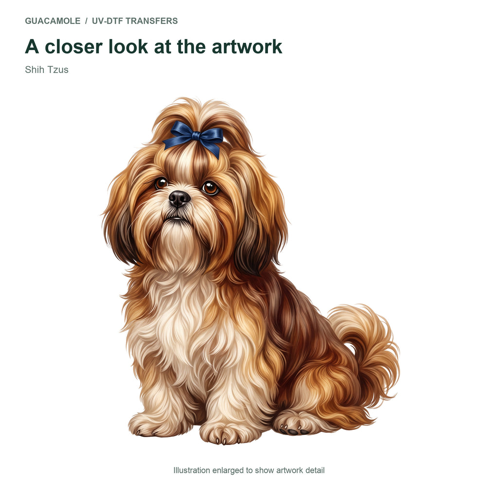 Shih Tzus — Artwork detail