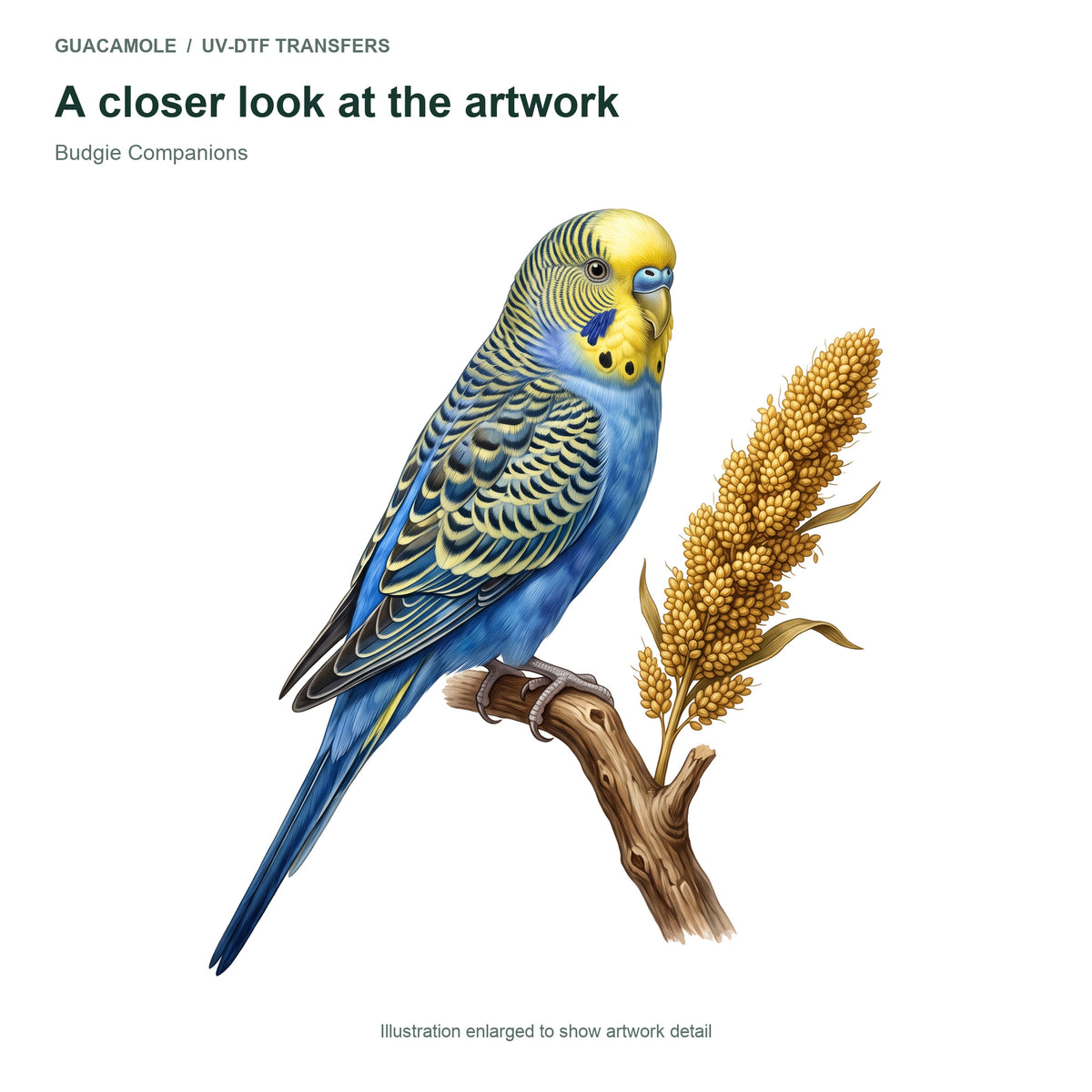 Budgie Companions — Artwork detail