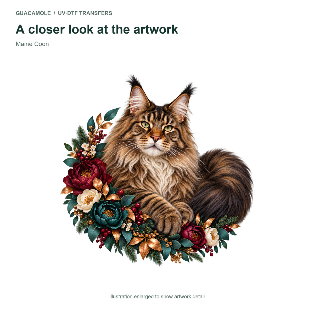 Maine Coon — Artwork detail