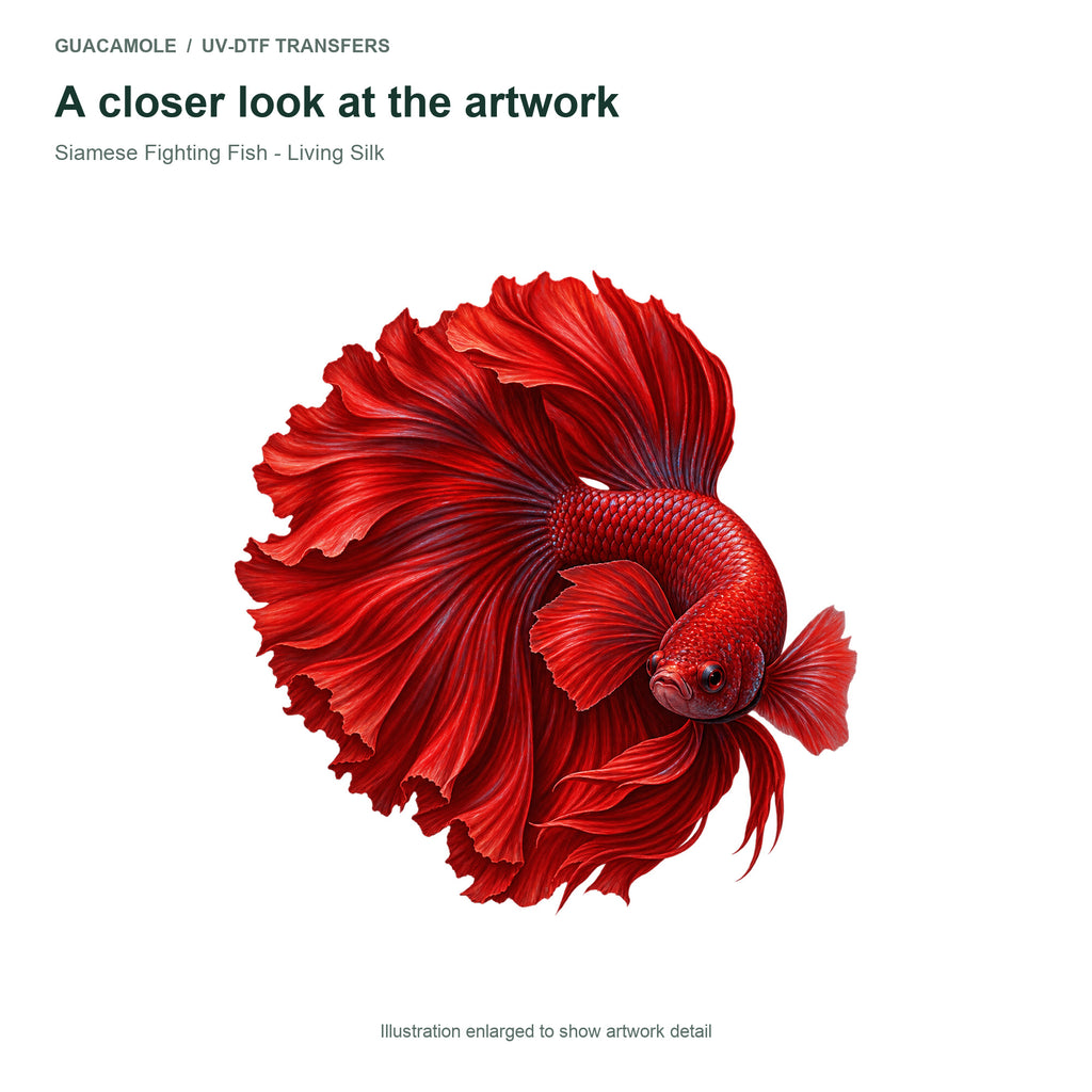 Siamese Fighting Fish - Living Silk — Artwork detail
