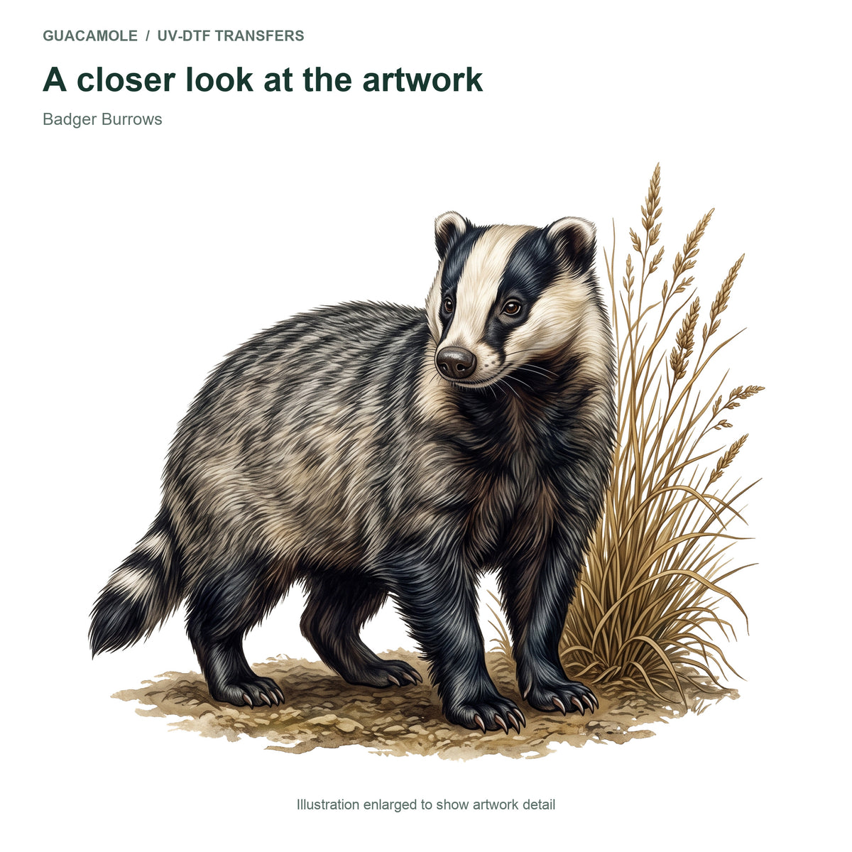 Badger Burrows — Artwork detail