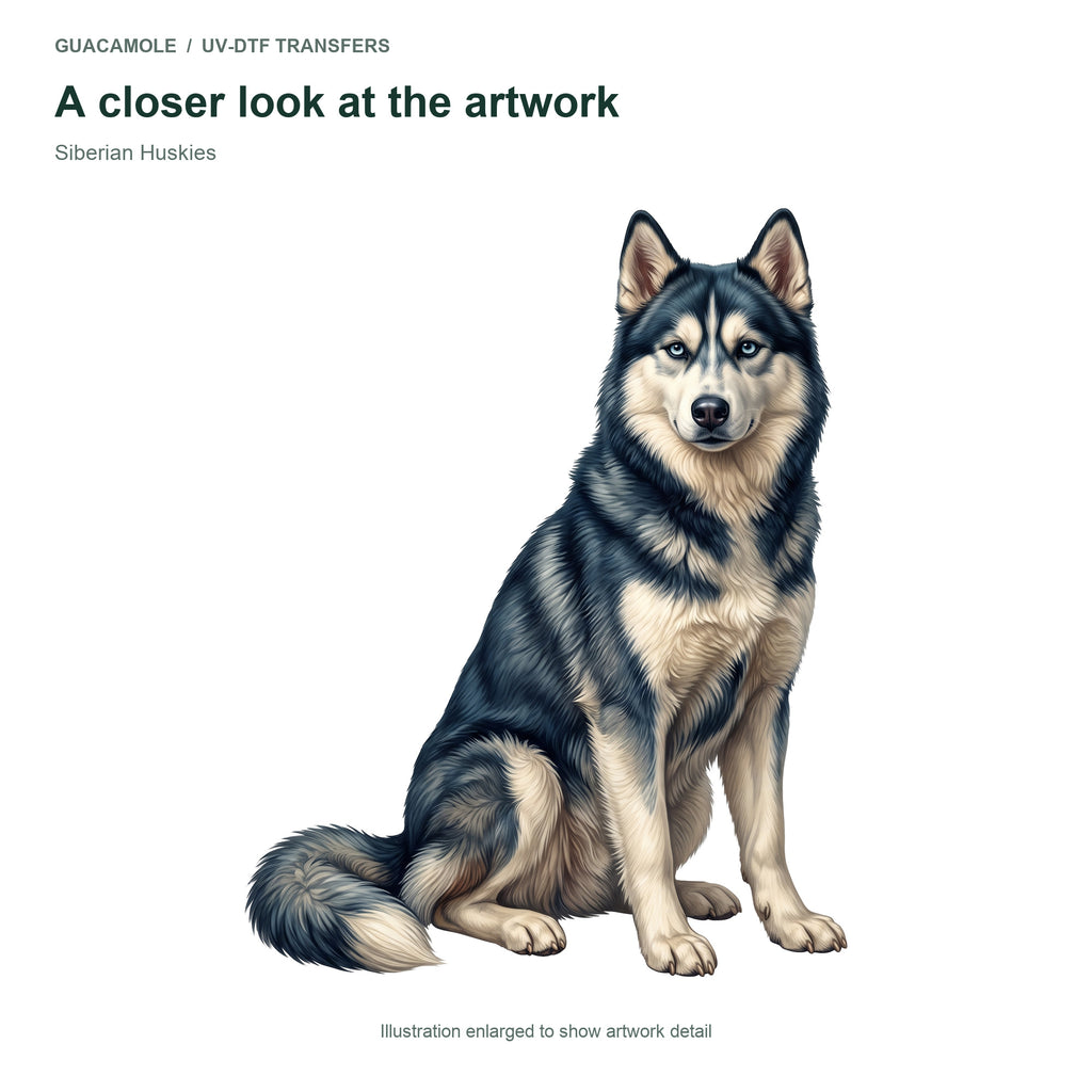 Siberian Huskies — Artwork detail