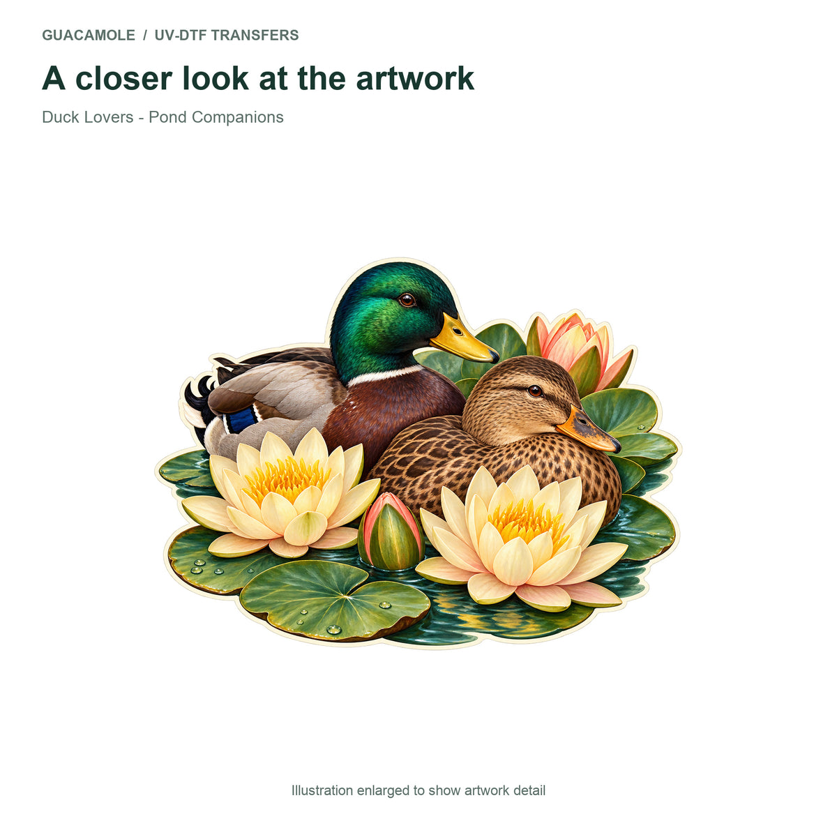 Duck Lovers - Pond Companions — Artwork detail