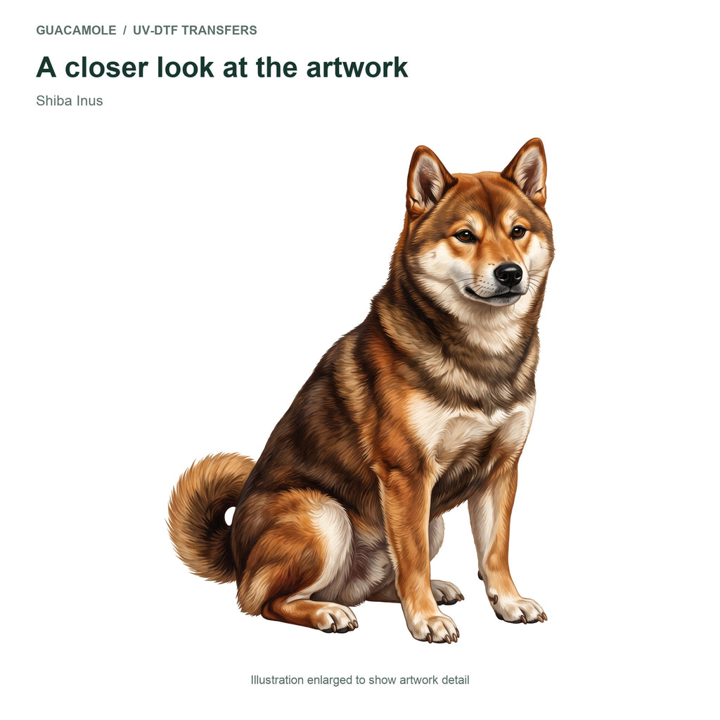 Shiba Inus — Artwork detail
