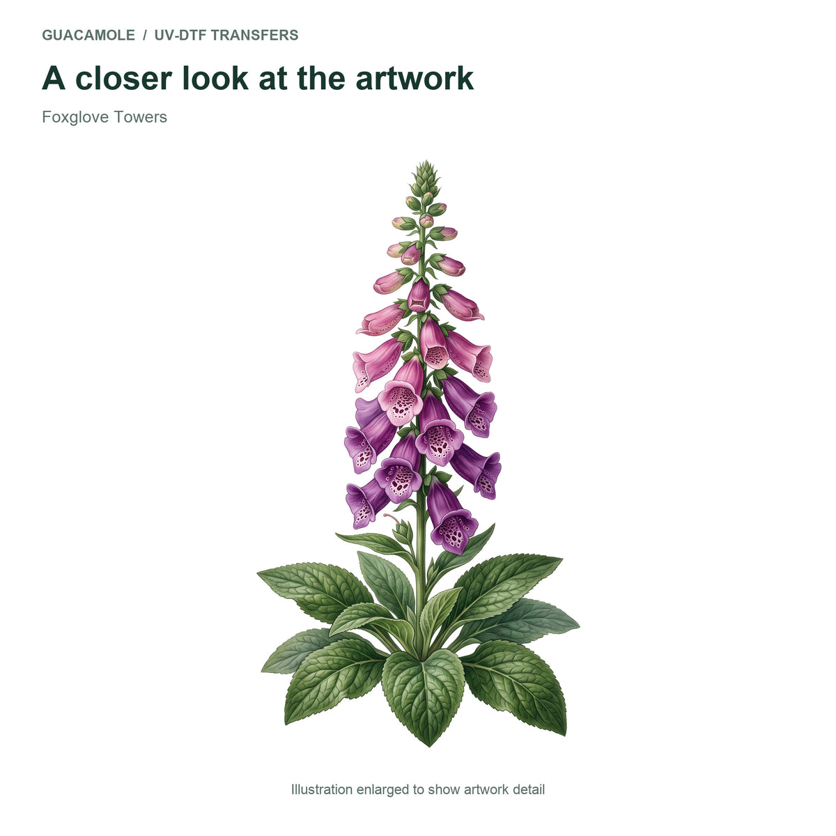 Foxglove Towers — Artwork detail